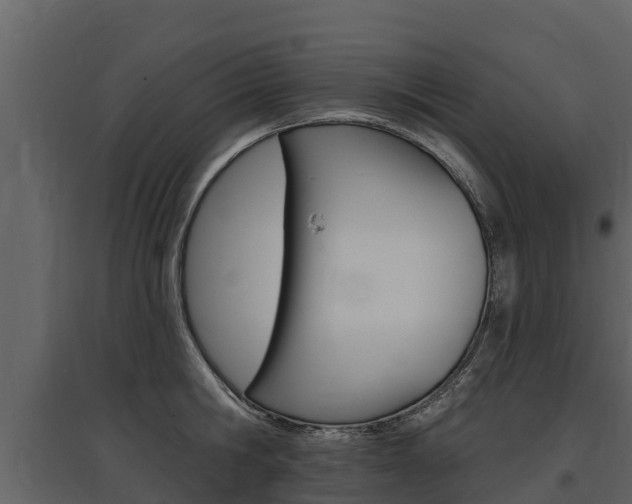 X0000097810806200803140757