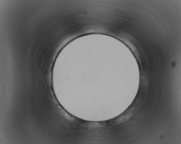 X0000097810807200803140757