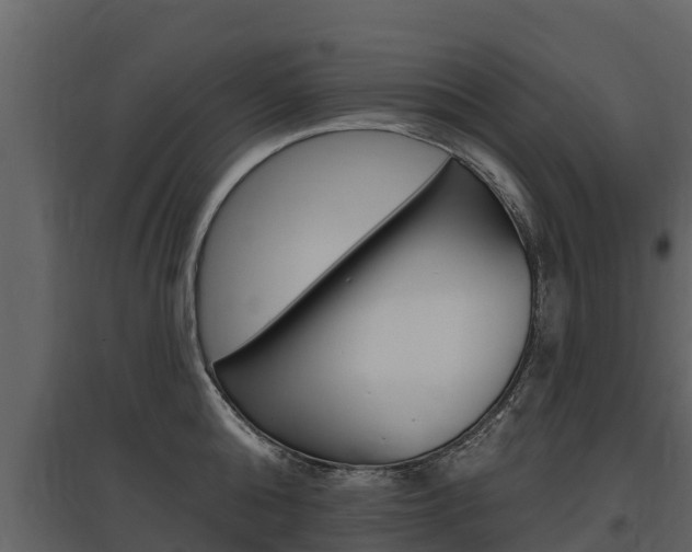 X0000097810808200803140757