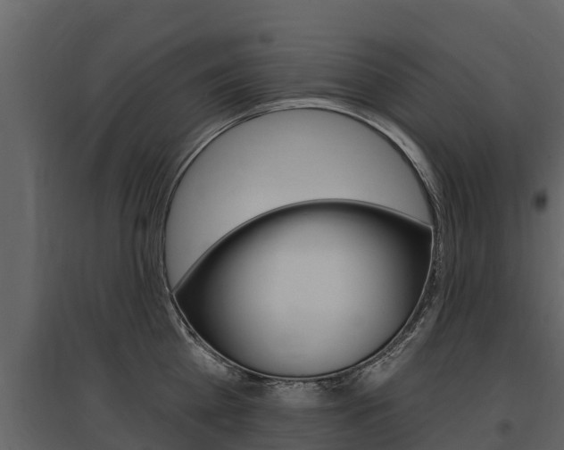 X0000097810809200803140757