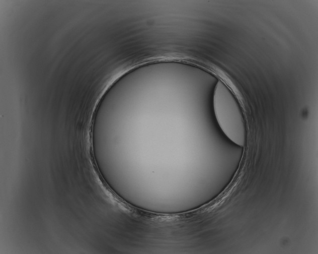 X0000097810810200803140757