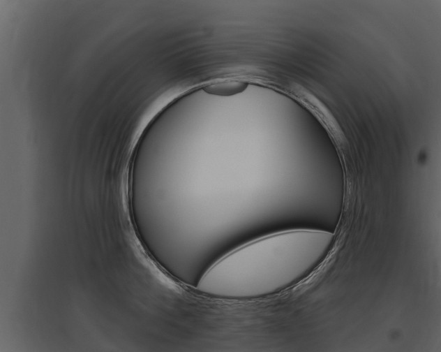 X0000097810812200803140757