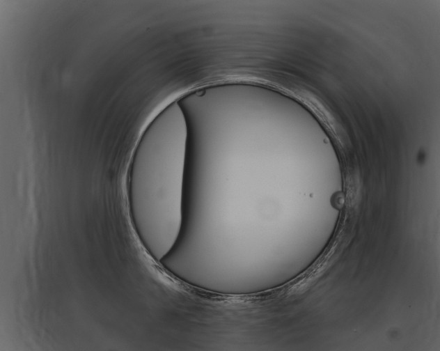X0000097810814200803140757