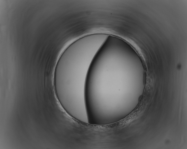X0000097810815200803140757