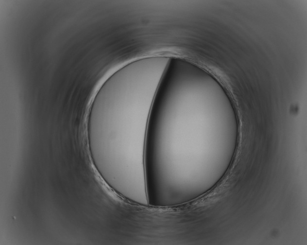 X0000097810816200803140757