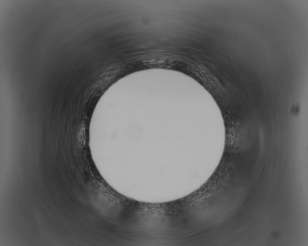 X0000097810820200803140757
