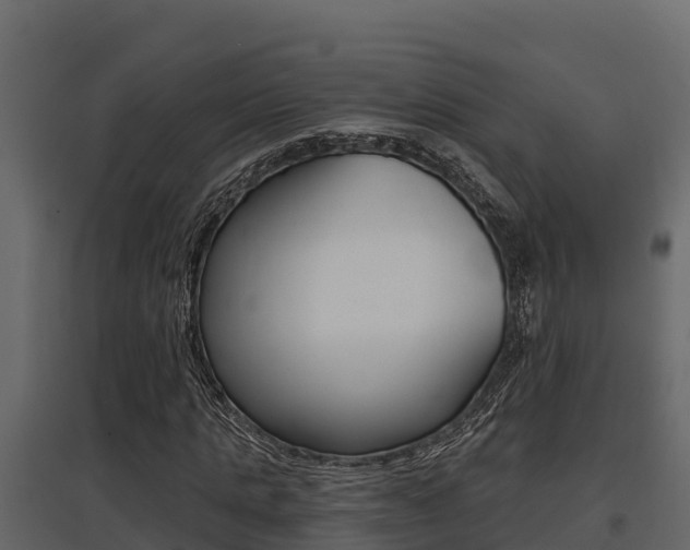X0000097810821200803140757