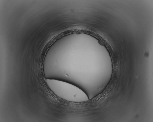 X0000097810823200803140757