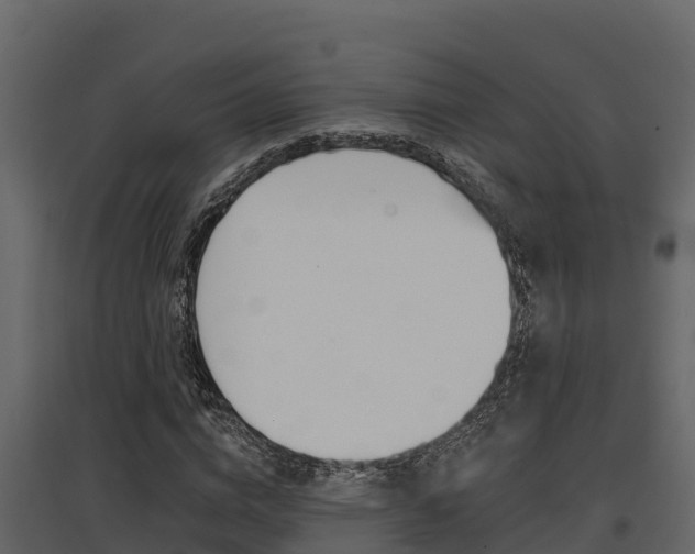X0000097810824200803140757