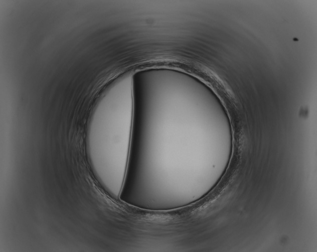 X0000097810825200803140757