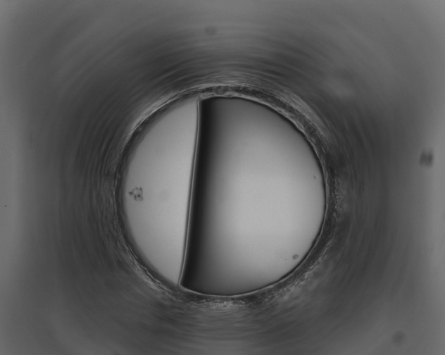 X0000097810826200803140757