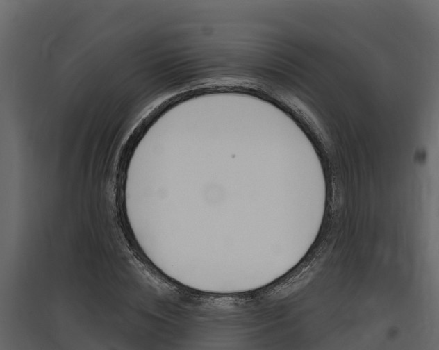 X0000097810828200803140757