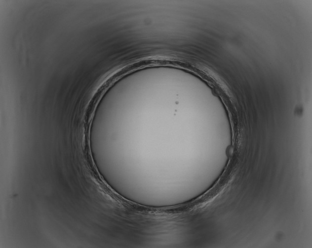 X0000097810829200803140757