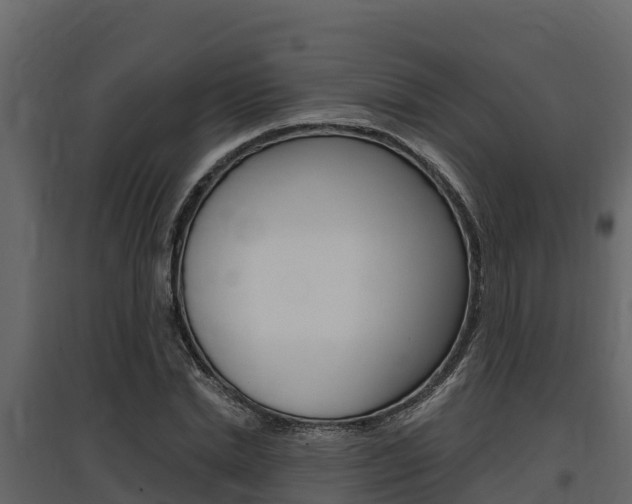 X0000097810830200803140757