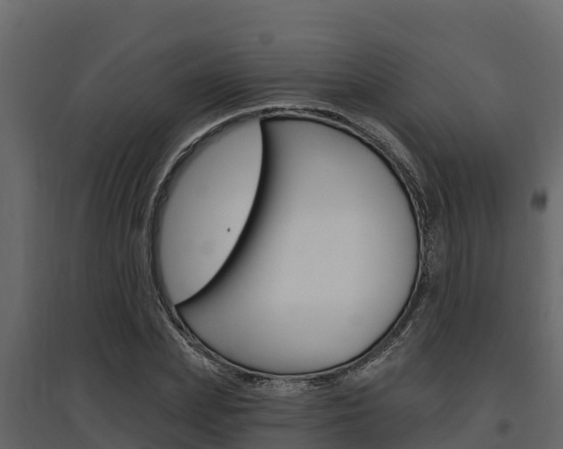 X0000097810831200803140757