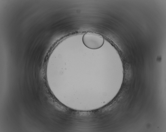 X0000097810832200803140757