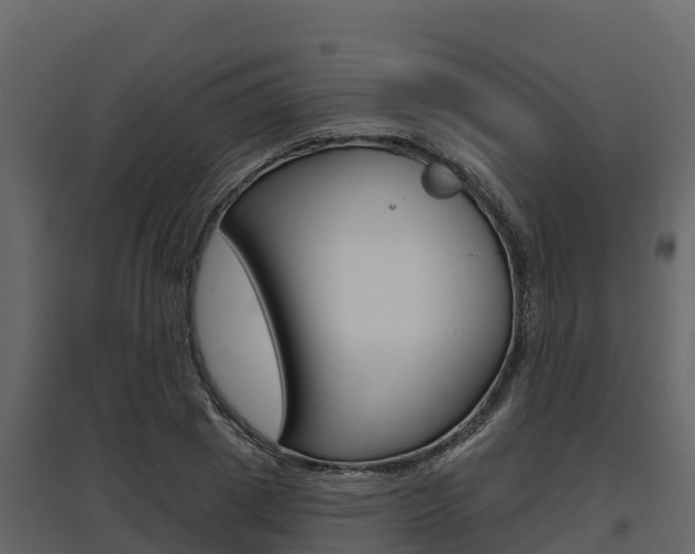 X0000097810833200803140757