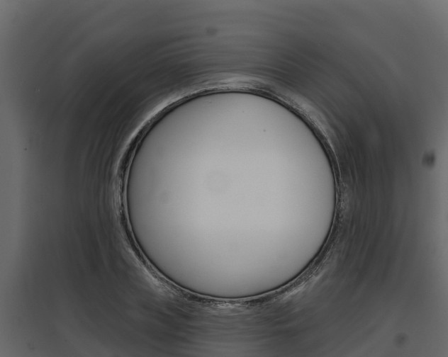 X0000097810835200803140757