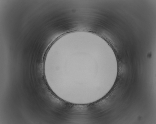 X0000097810836200803140757