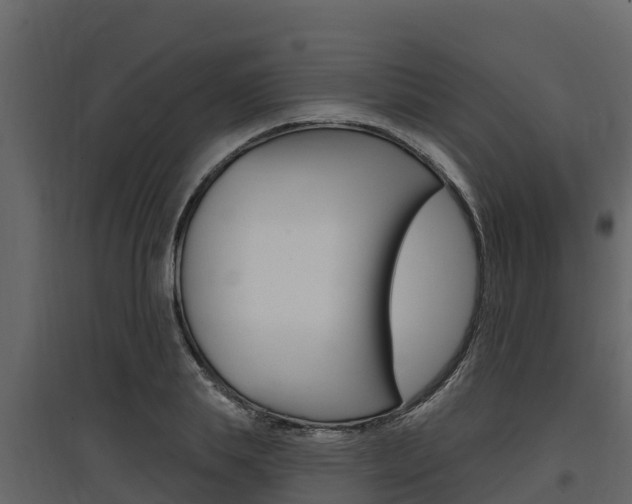 X0000097810839200803140757
