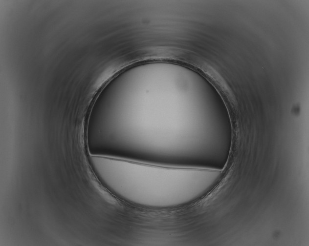 X0000097810842200803140757