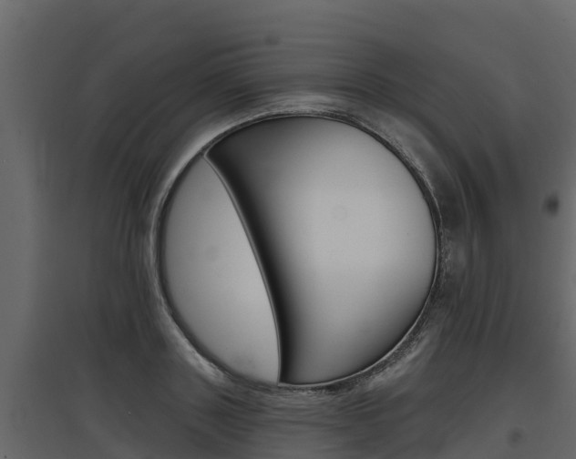 X0000097810843200803140757