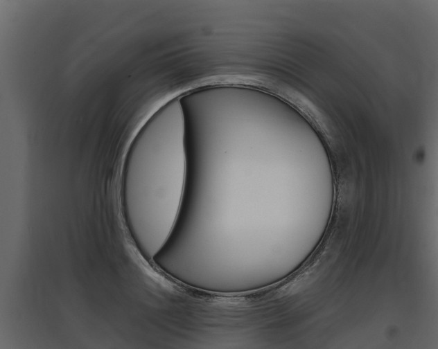 X0000097810844200803140757