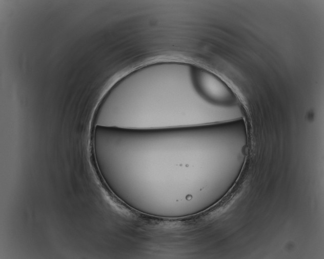 X0000097810845200803140757