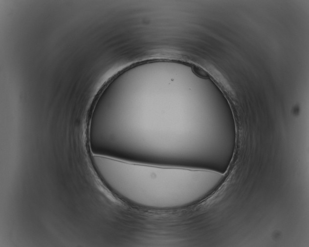 X0000097810846200803140757