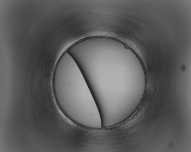 X0000097810847200803140757