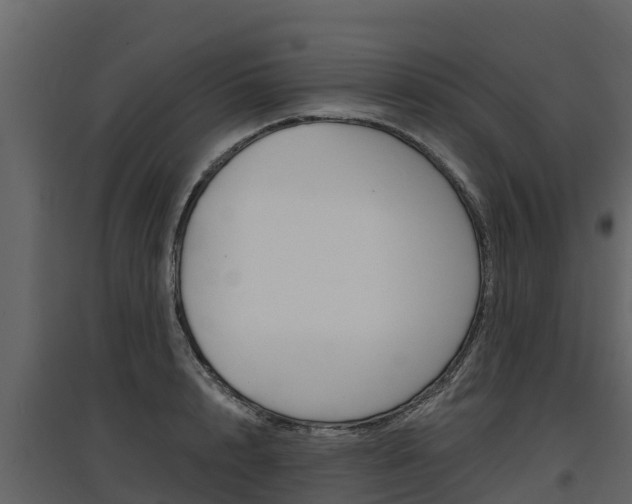 X0000097810848200803140757