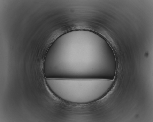 X0000097810849200803140757