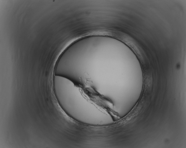 X0000097810852200803140757
