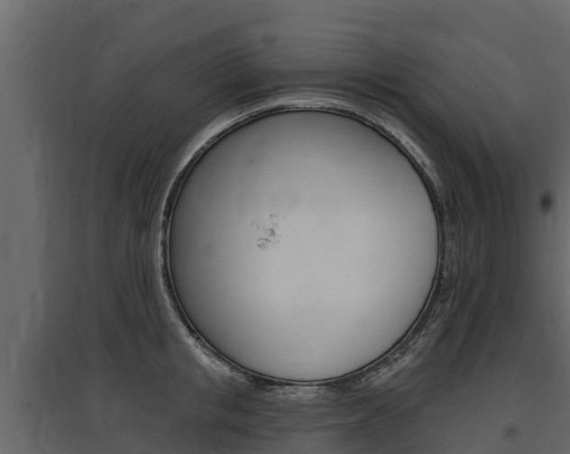 X0000097810853200803140757