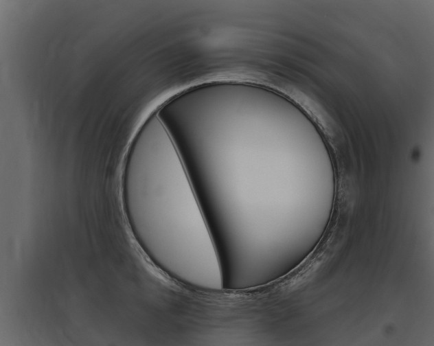 X0000097810854200803140757