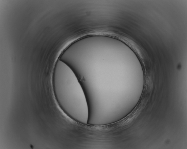 X0000097810855200803140757