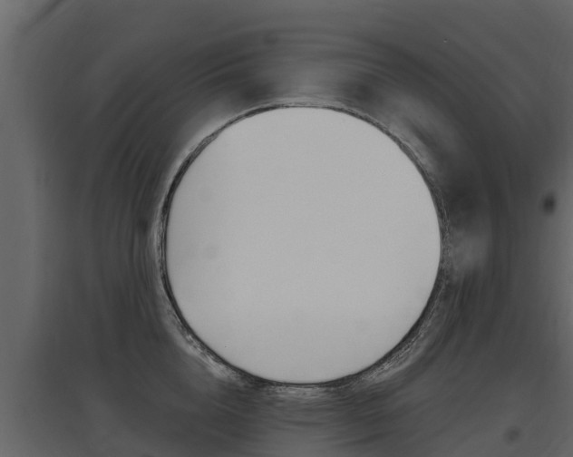 X0000097810856200803140757