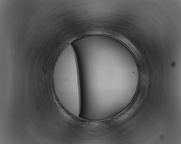 X0000097810857200803140757