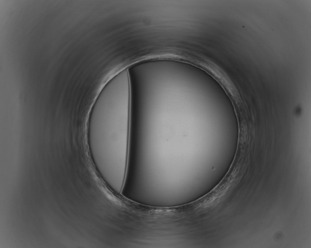 X0000097810858200803140757