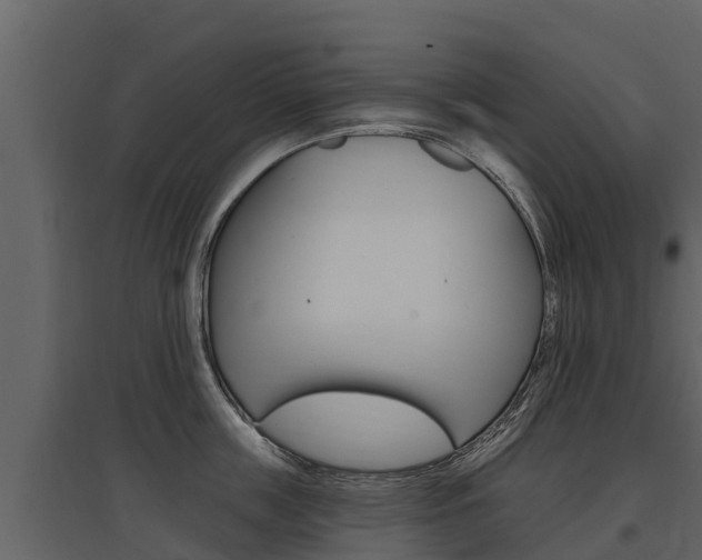 X0000097810859200803140757