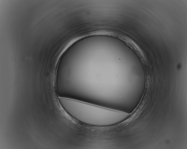 X0000097810860200803140757