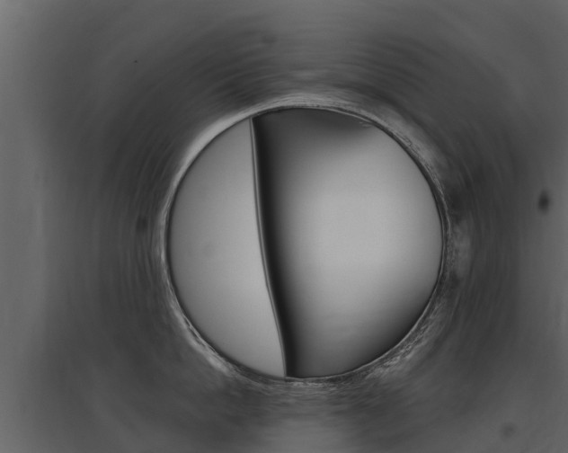 X0000097810862200803140757