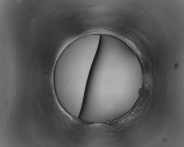X0000097810863200803140757