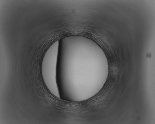 X0000097810865200803140757