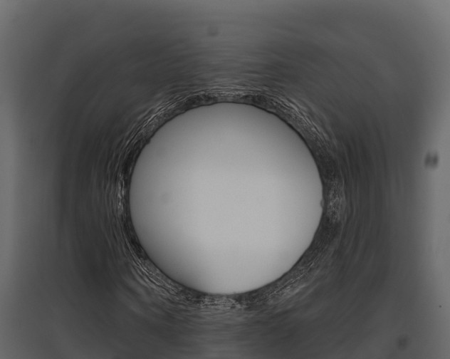 X0000097810866200803140757