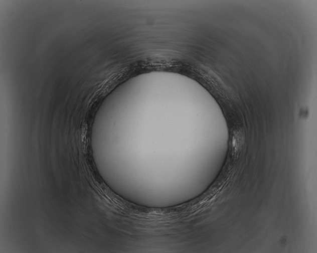 X0000097810867200803140757