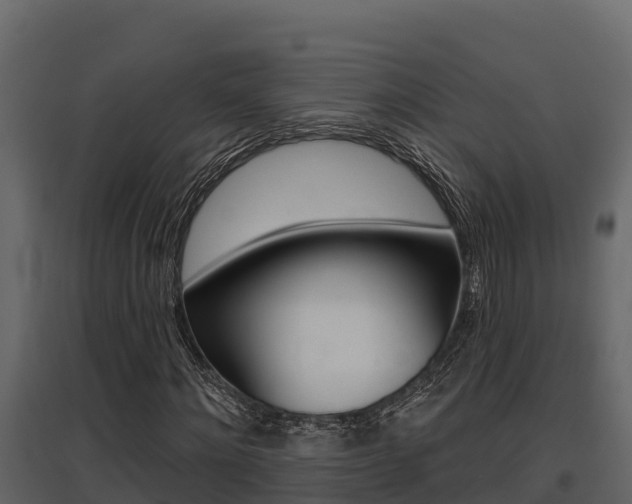 X0000097810868200803140757