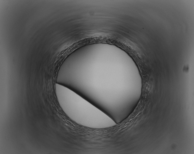 X0000097810869200803140757