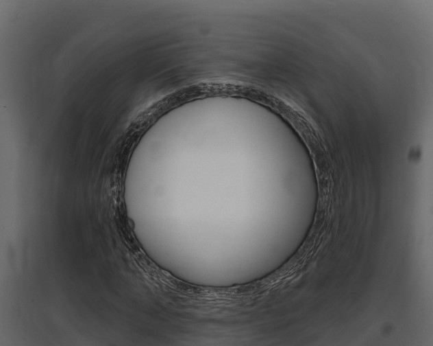X0000097810870200803140756