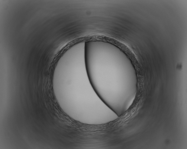 X0000097810871200803140756